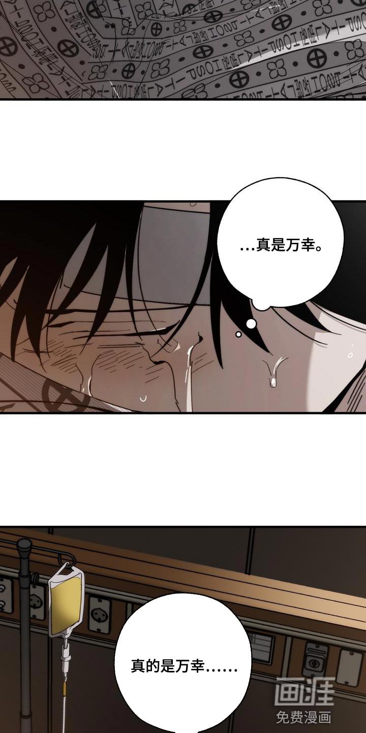 第189章：真的是万幸