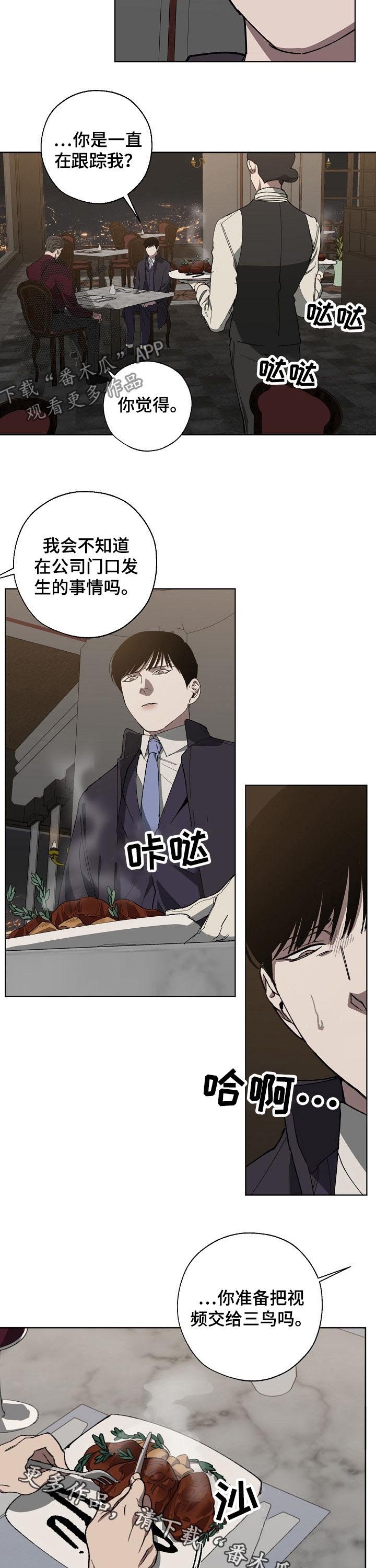 第31章：见面