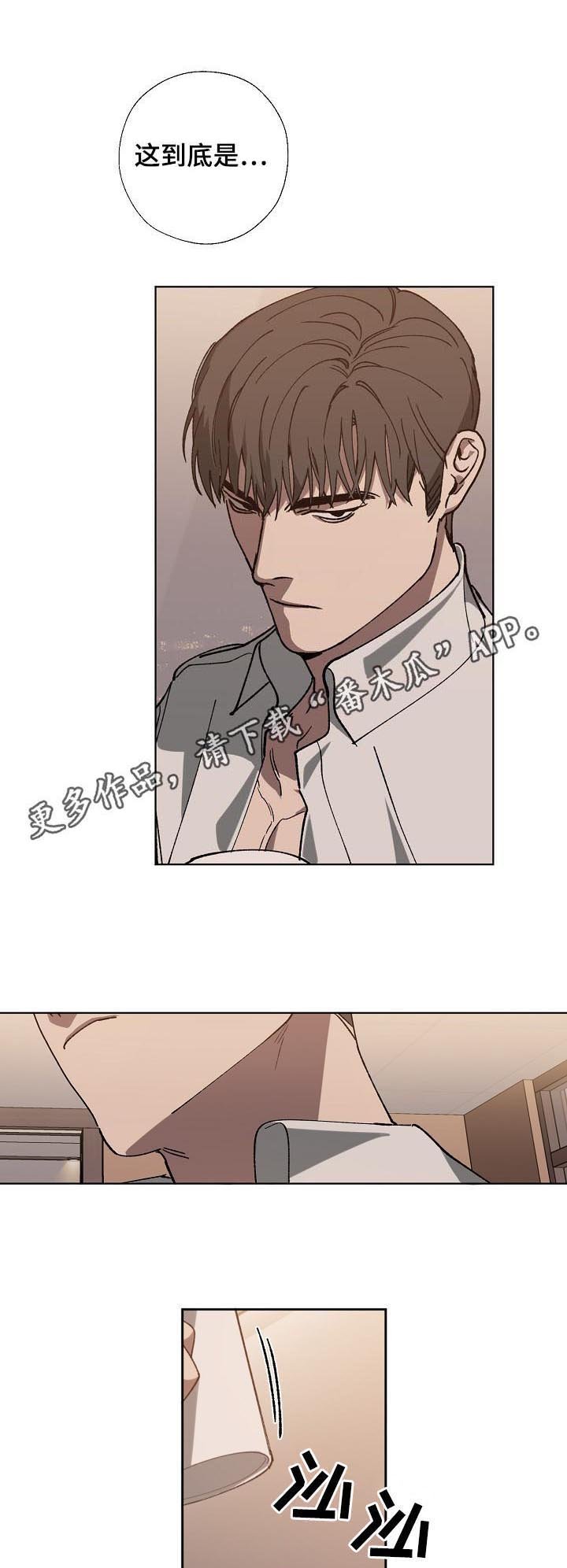 第41章：疯了