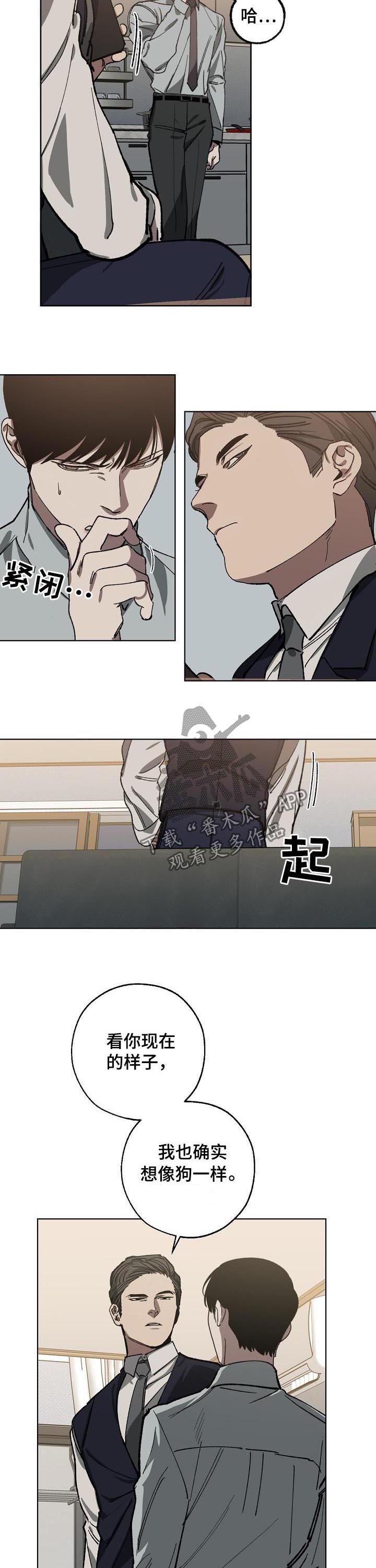 第47章：选择