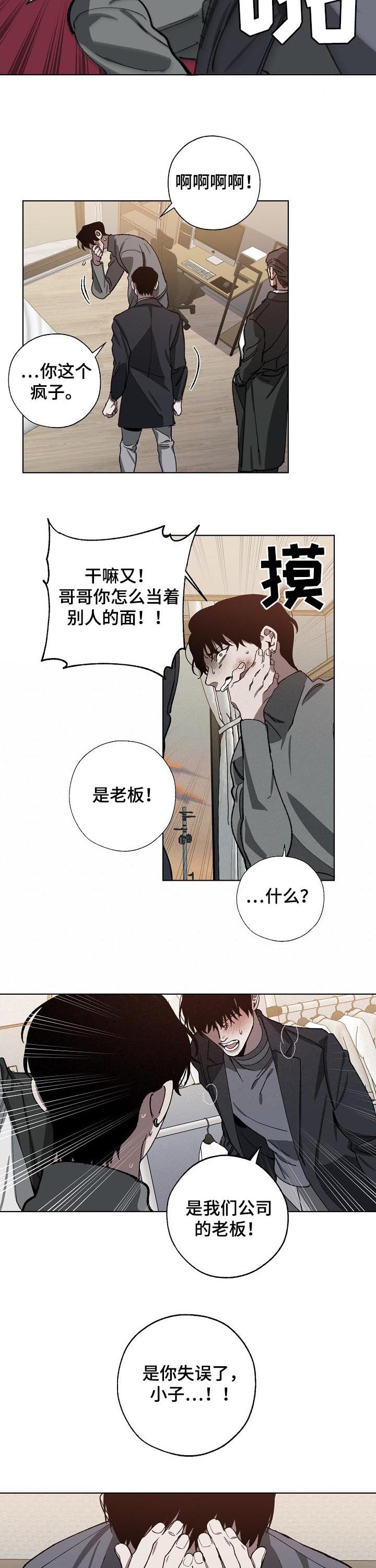 第55章：解释