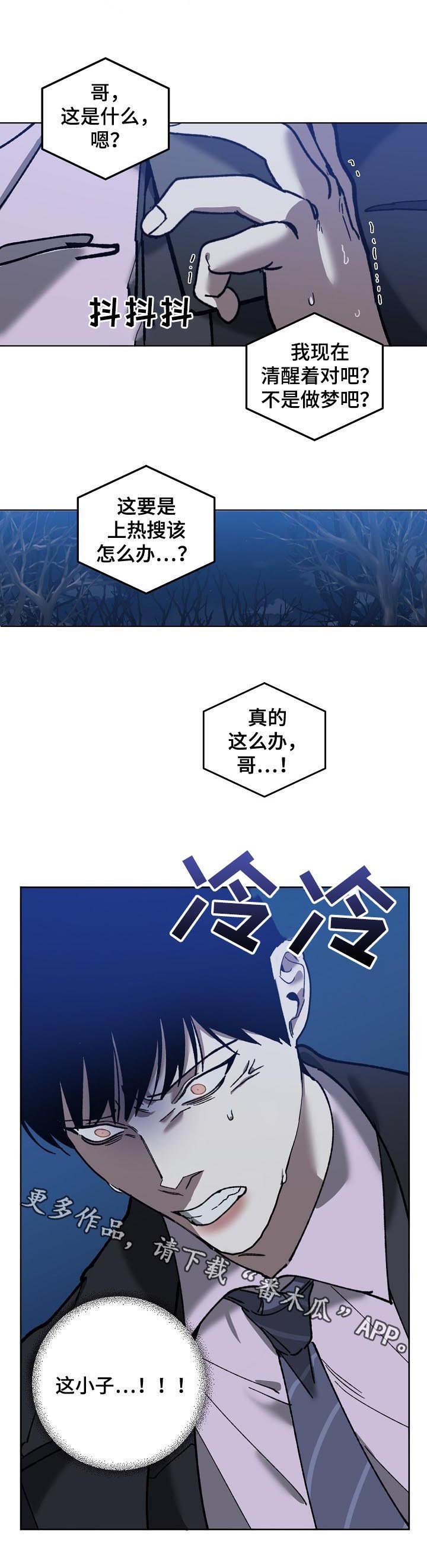 第65章：视频曝光