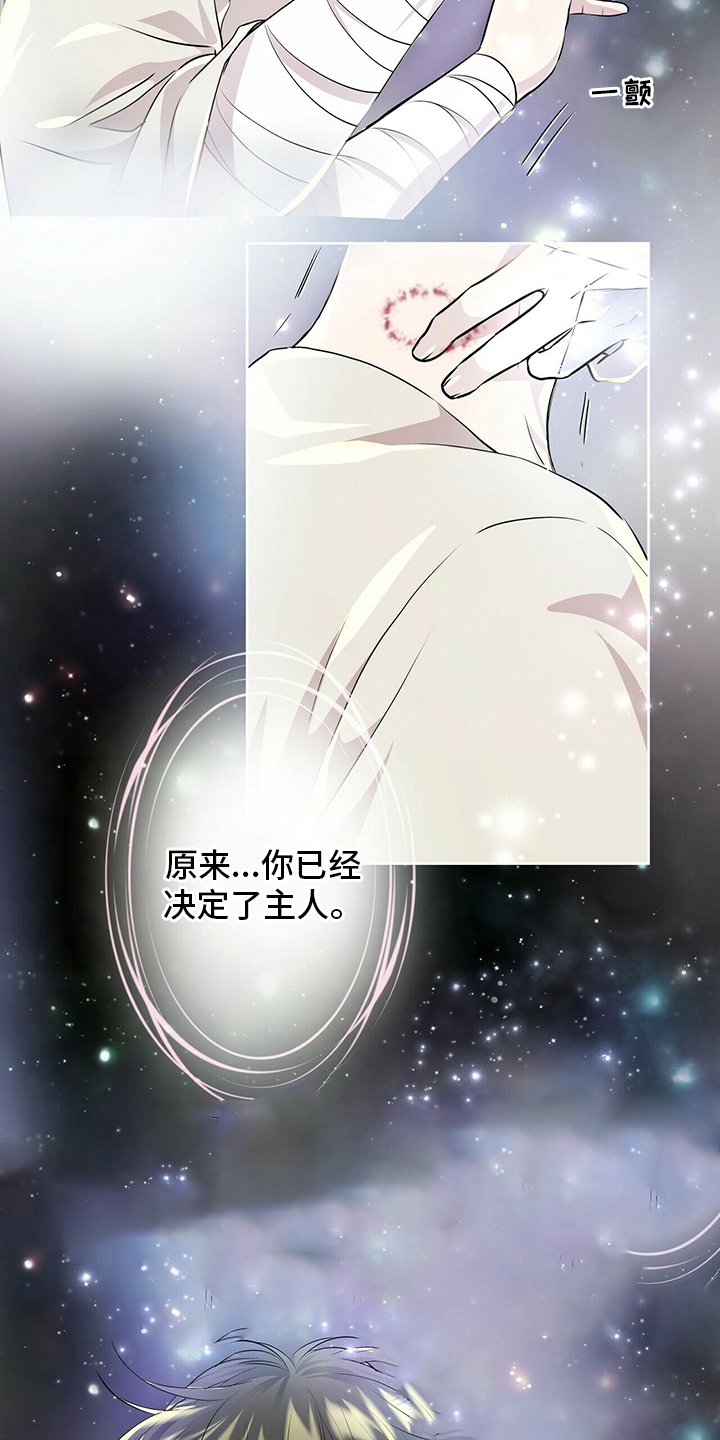 第104章：【第二季】能力