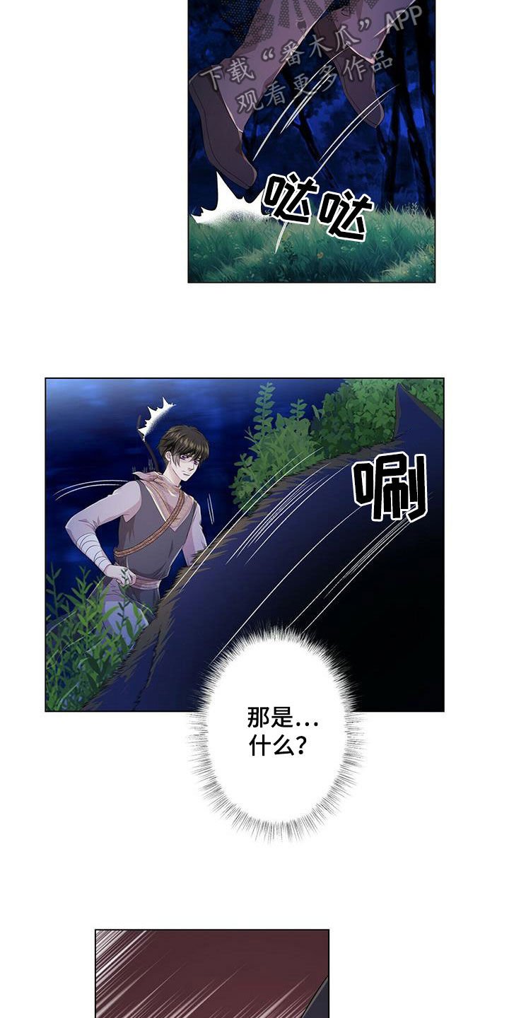 第126章：【第二季】狼群