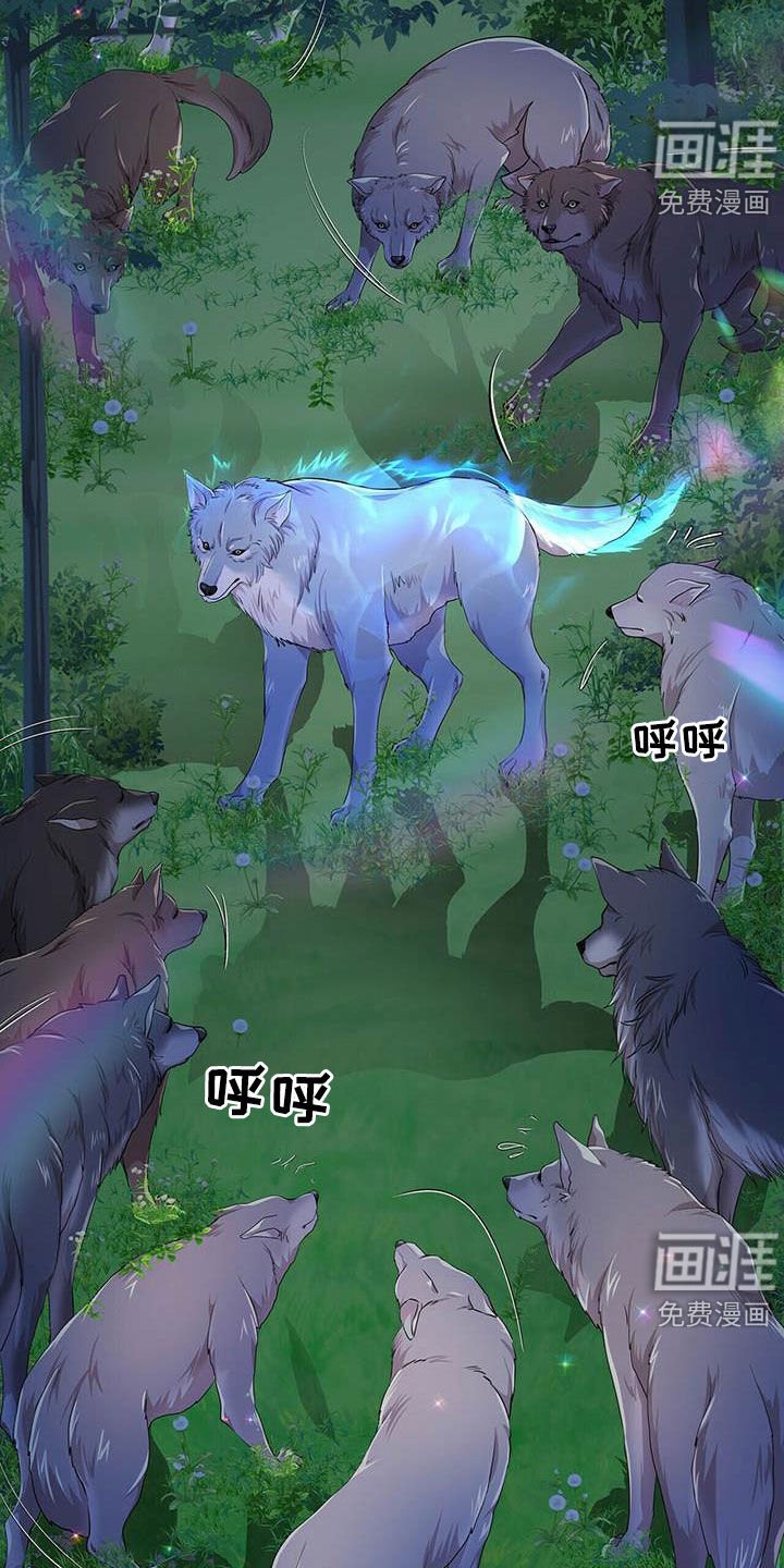 第127章：【第二季】声音