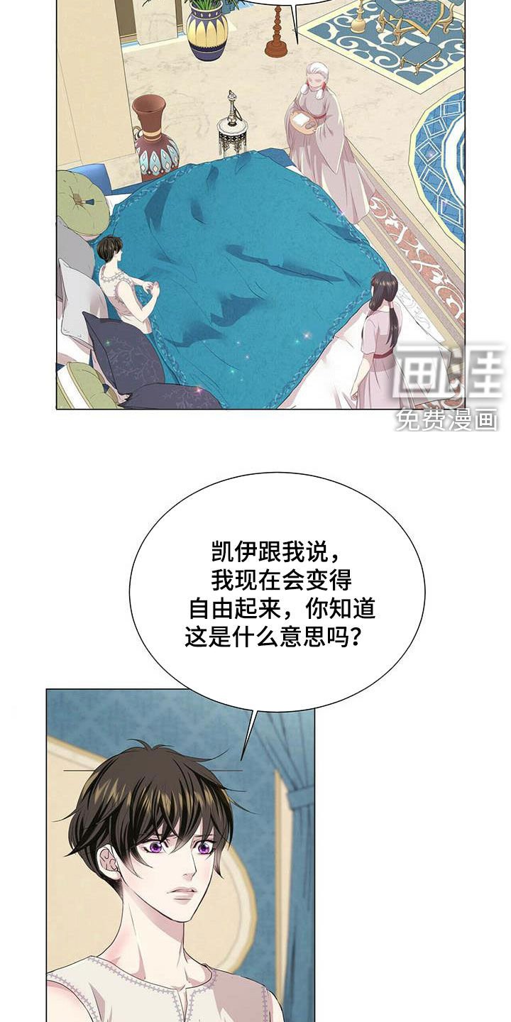 第132章：【第二季】自由