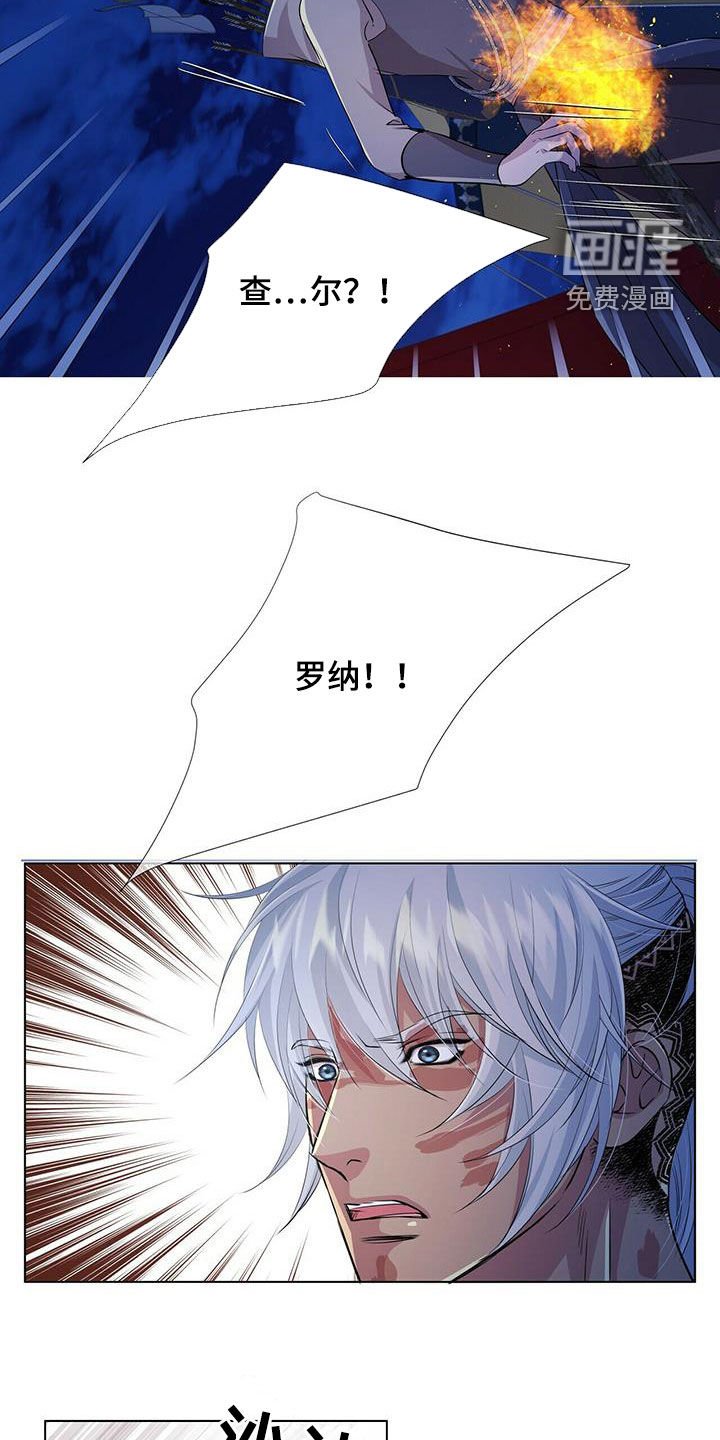 第141章：【第二季】相遇