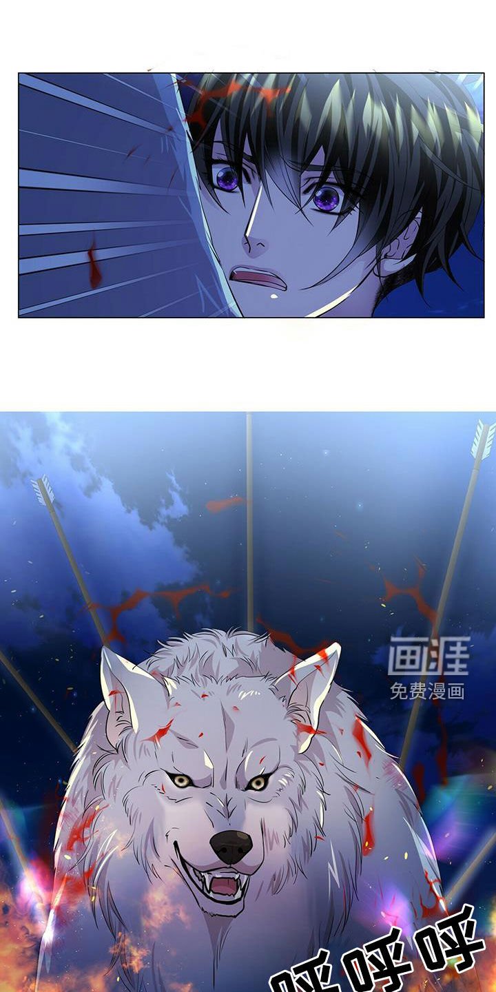 第143章：【第二季】挡箭