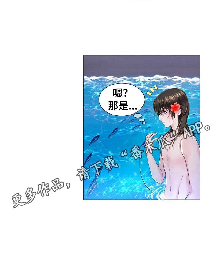 第27章：发现