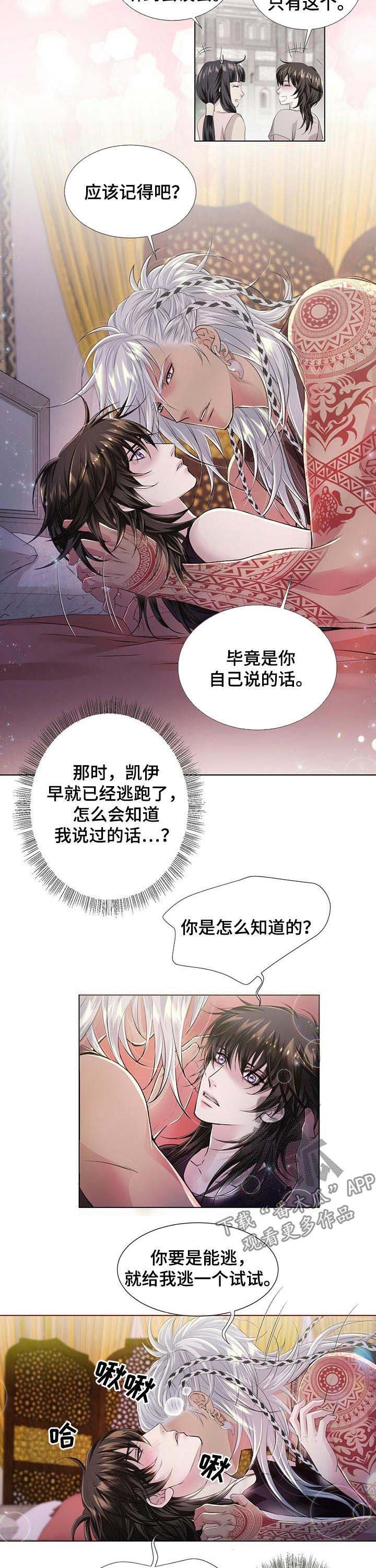 第37章：宝盒