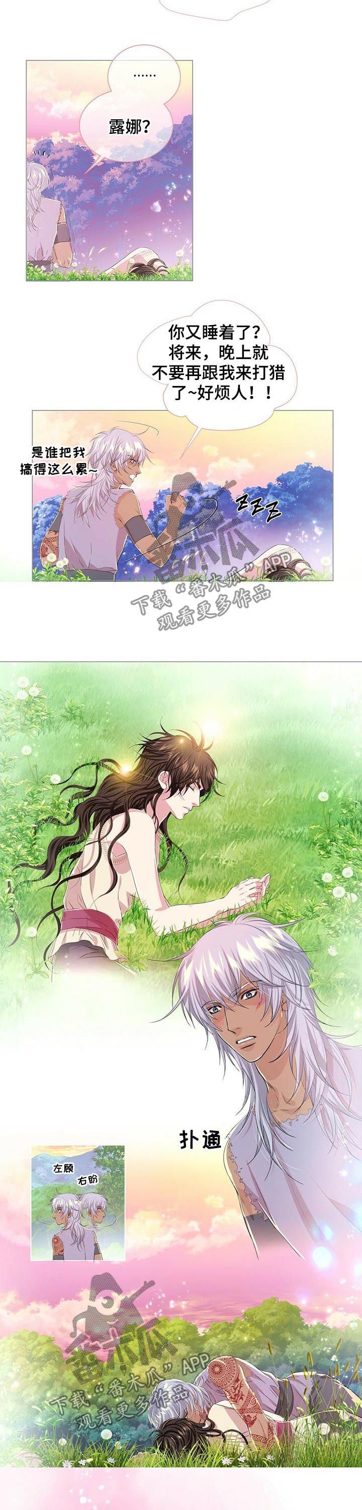 第39章：搜寻