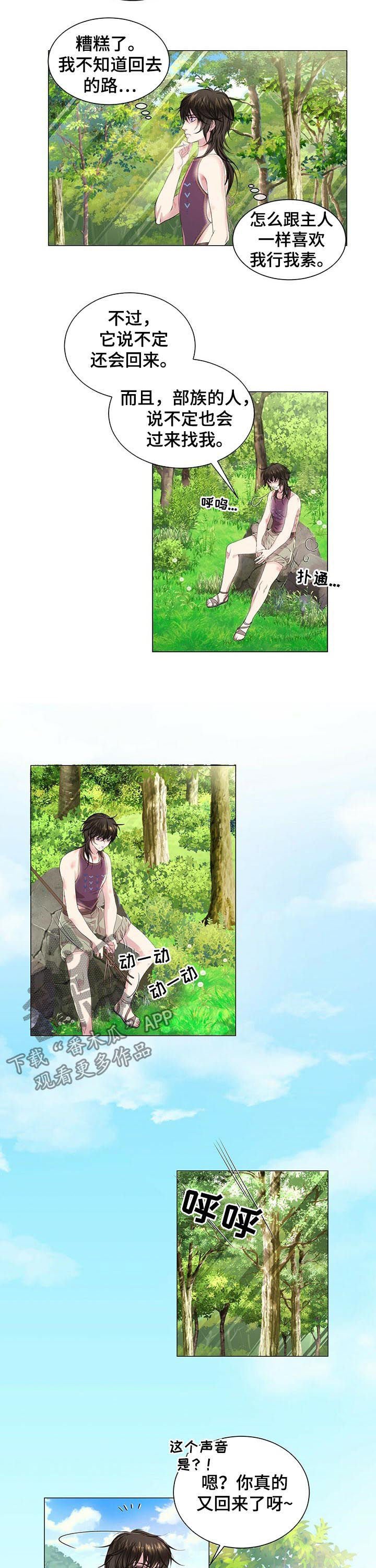 第40章：怎么补偿