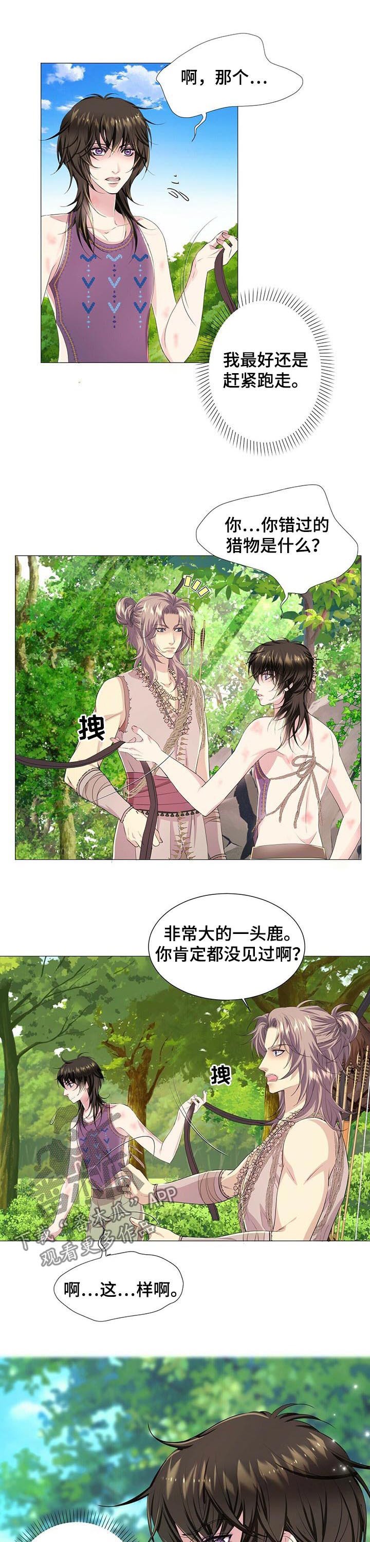 第41章：真相