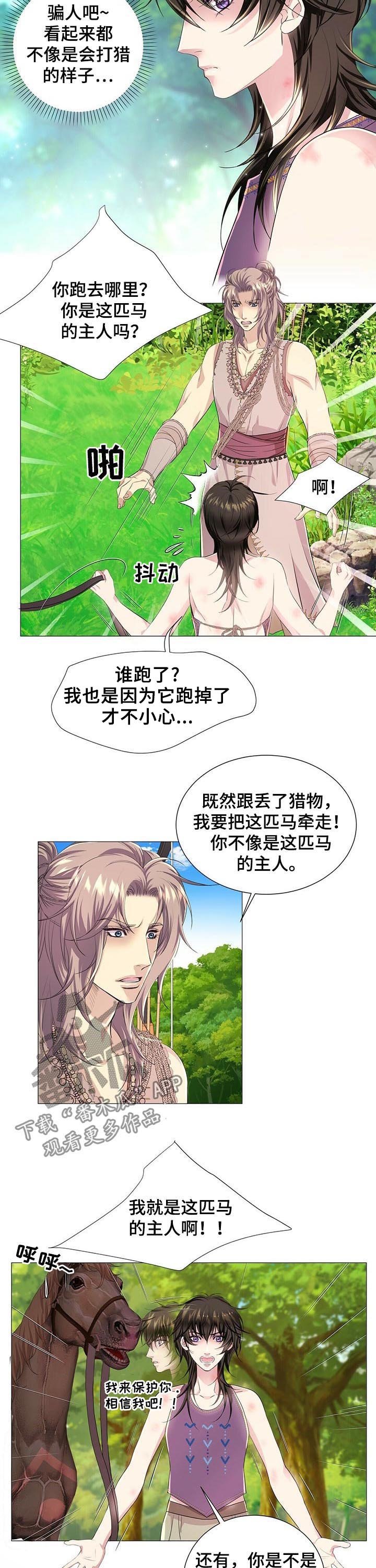 第41章：真相