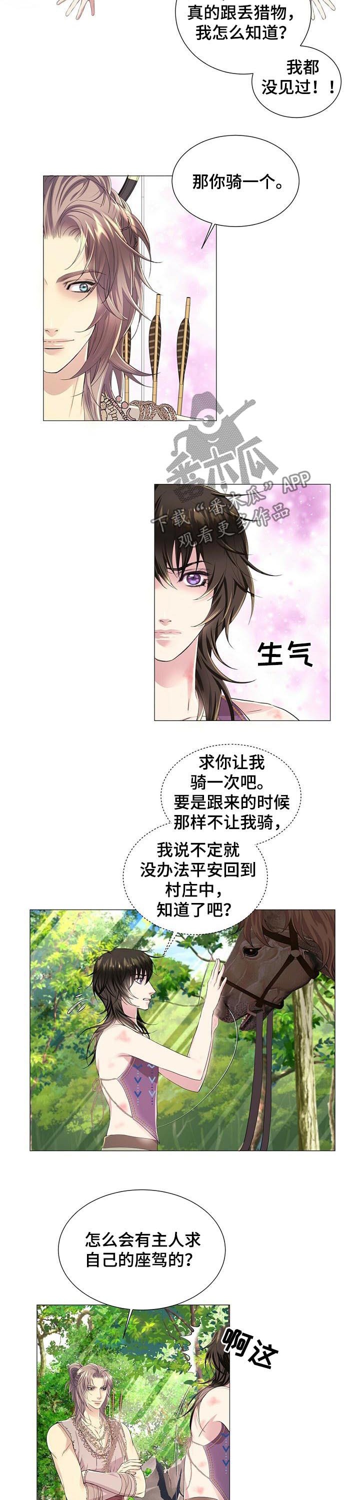 第41章：真相