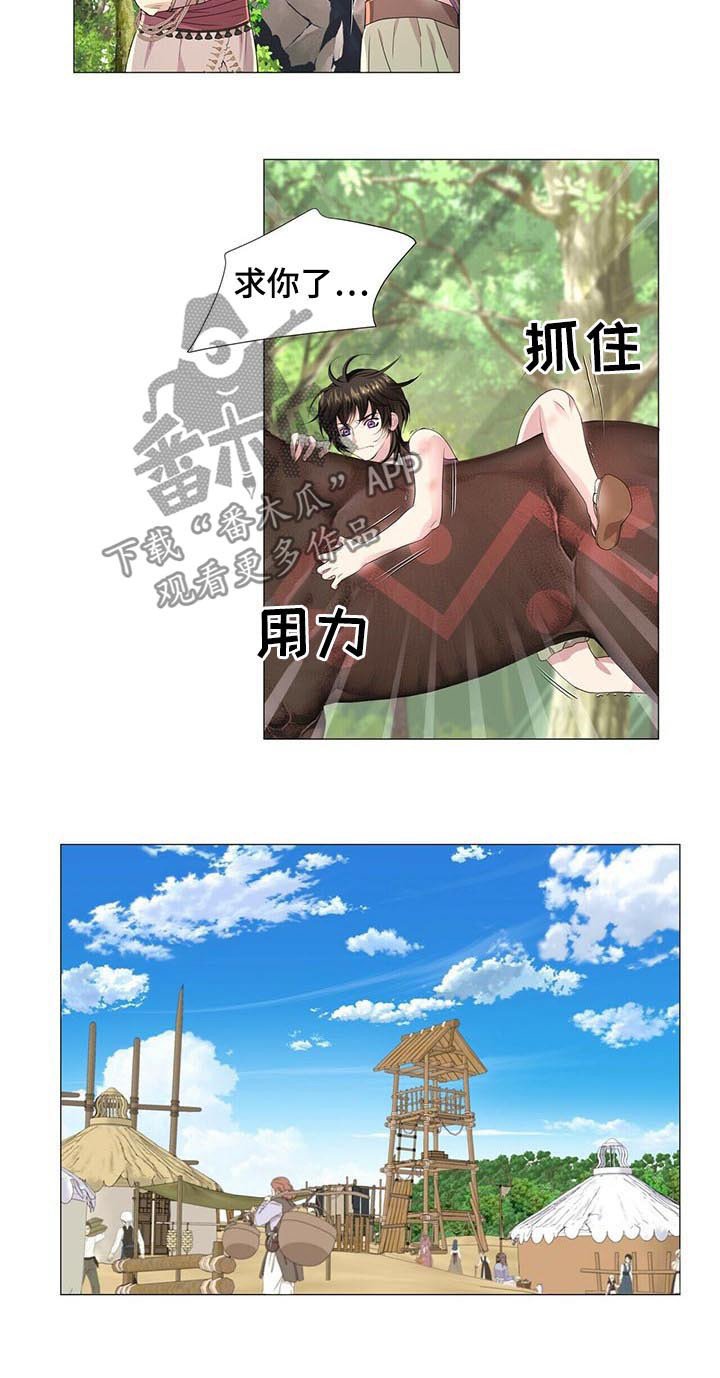 第41章：真相