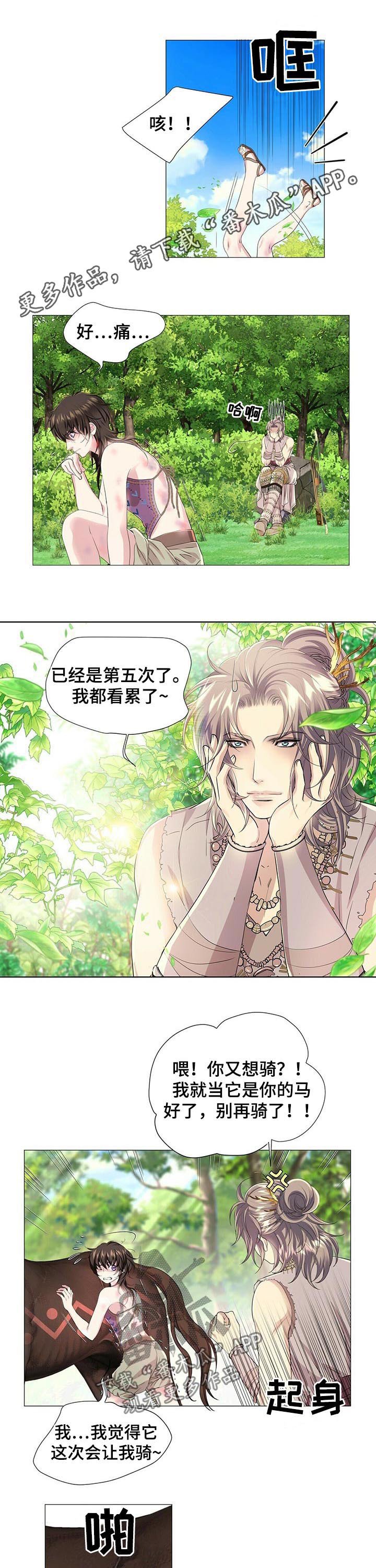 第42章：骑马归来