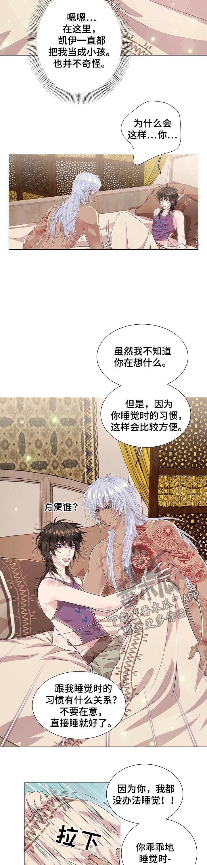 第44章：借口