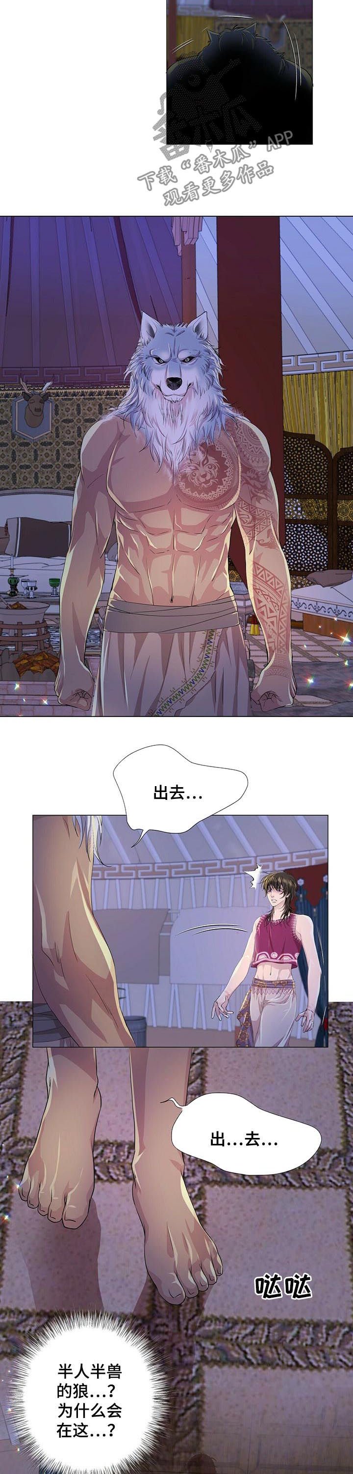 第53章：香味