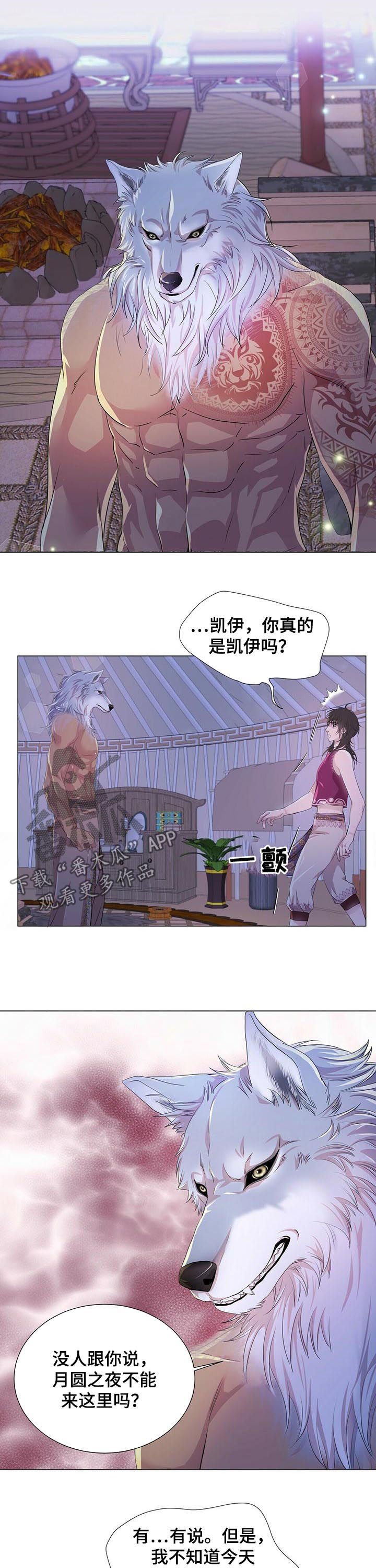 第53章：香味