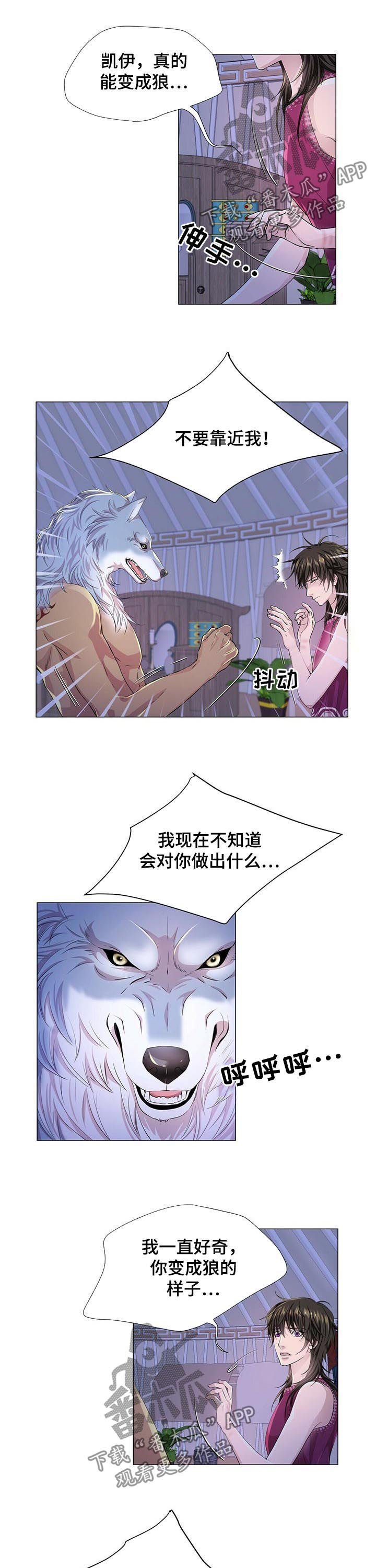 第53章：香味