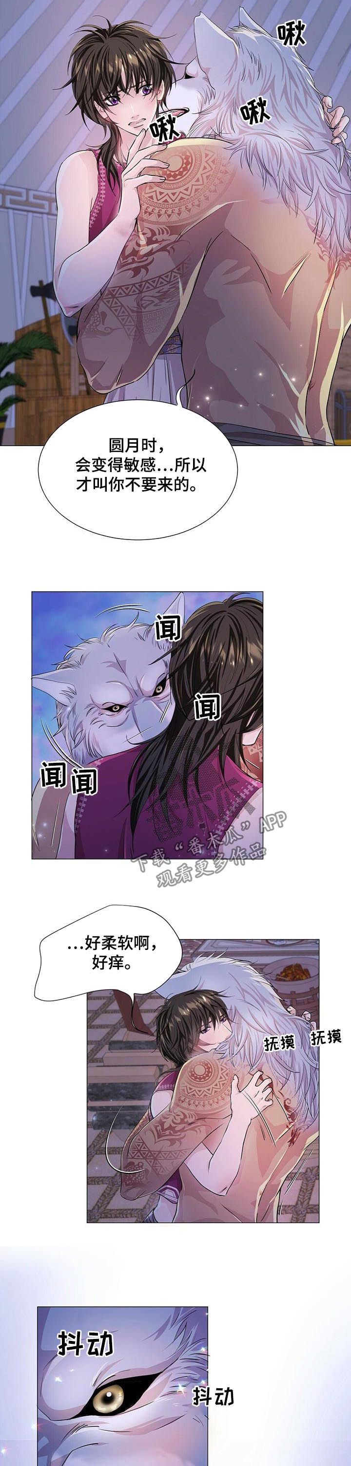 第53章：香味