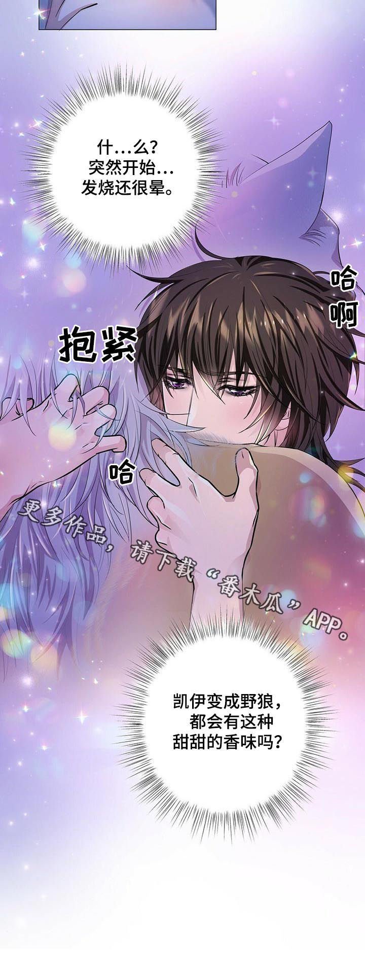 第53章：香味