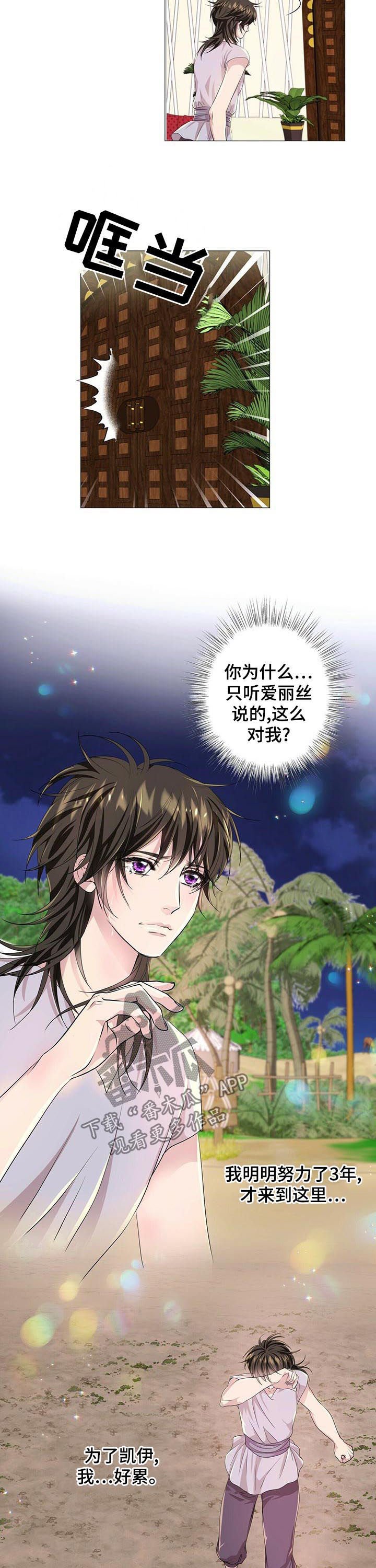 第56章：逃走计划