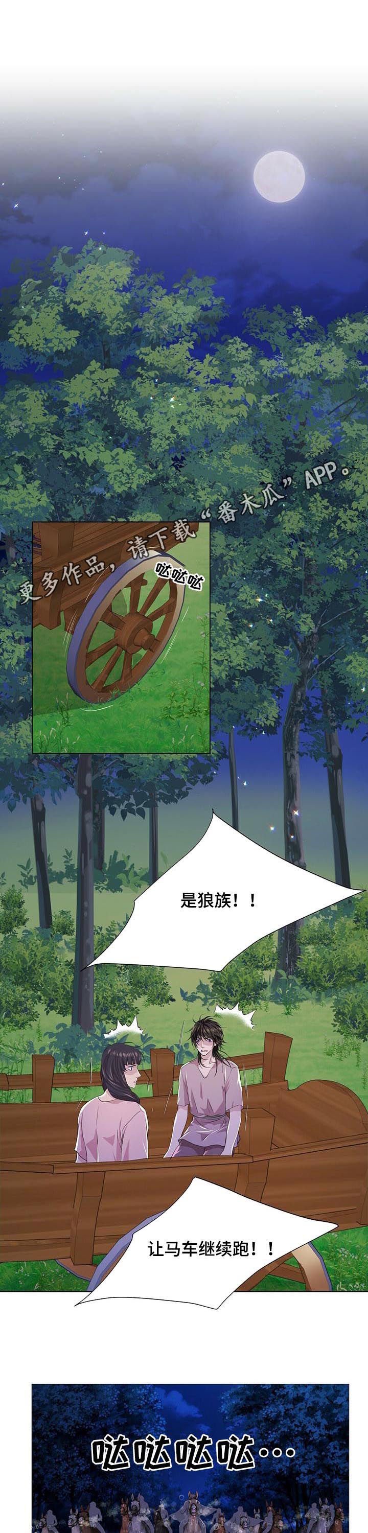 第69章：攻击