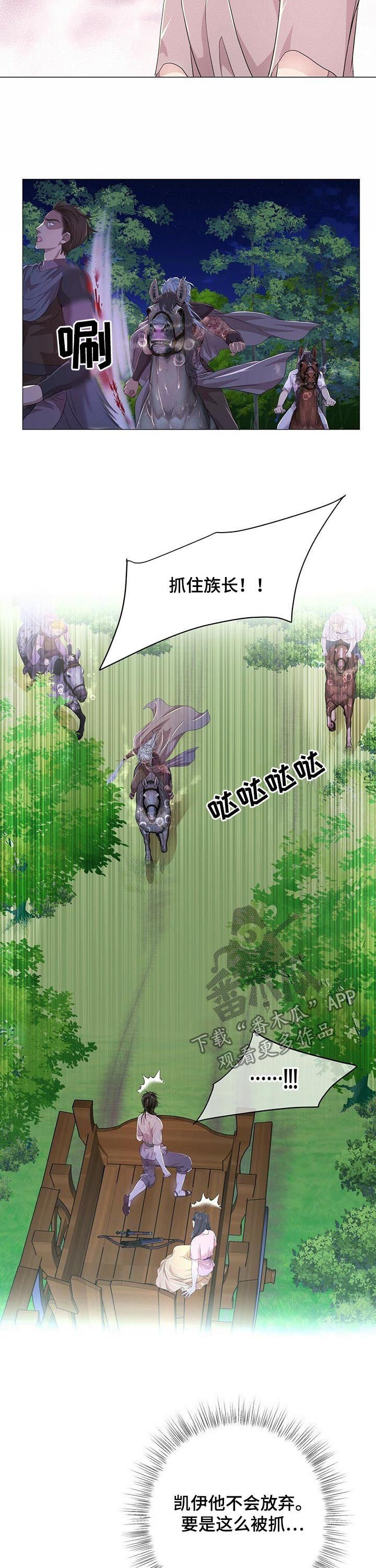第69章：攻击