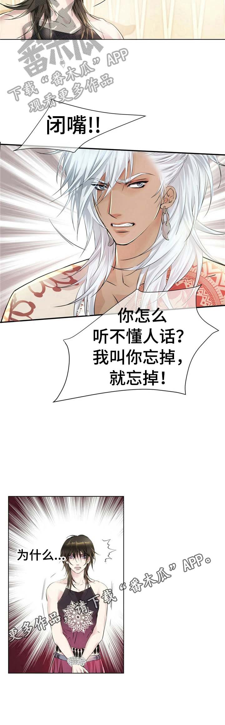 第7章：忘掉
