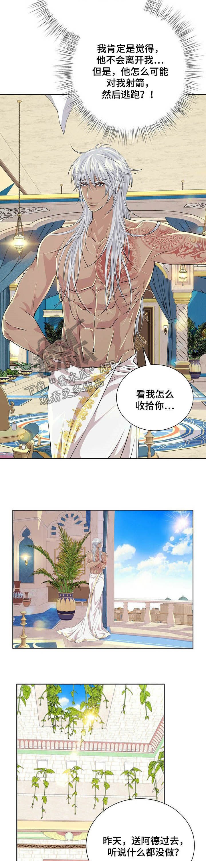 第77章：【第二季】狩猎时机