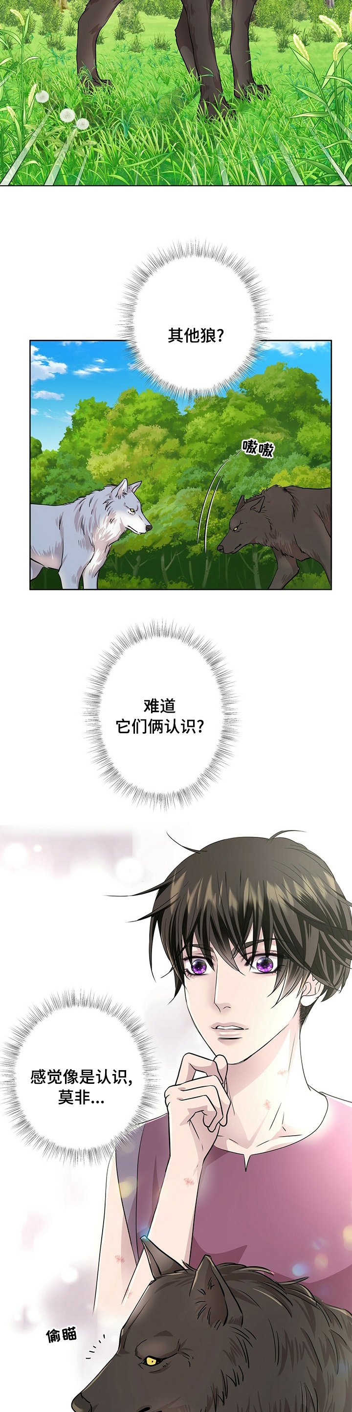 第91章：【第二季】其他狼