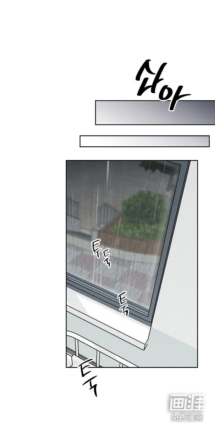 第11章：目睹