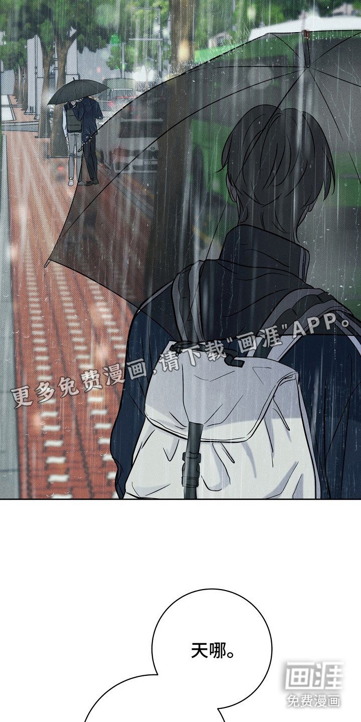 第11章：目睹