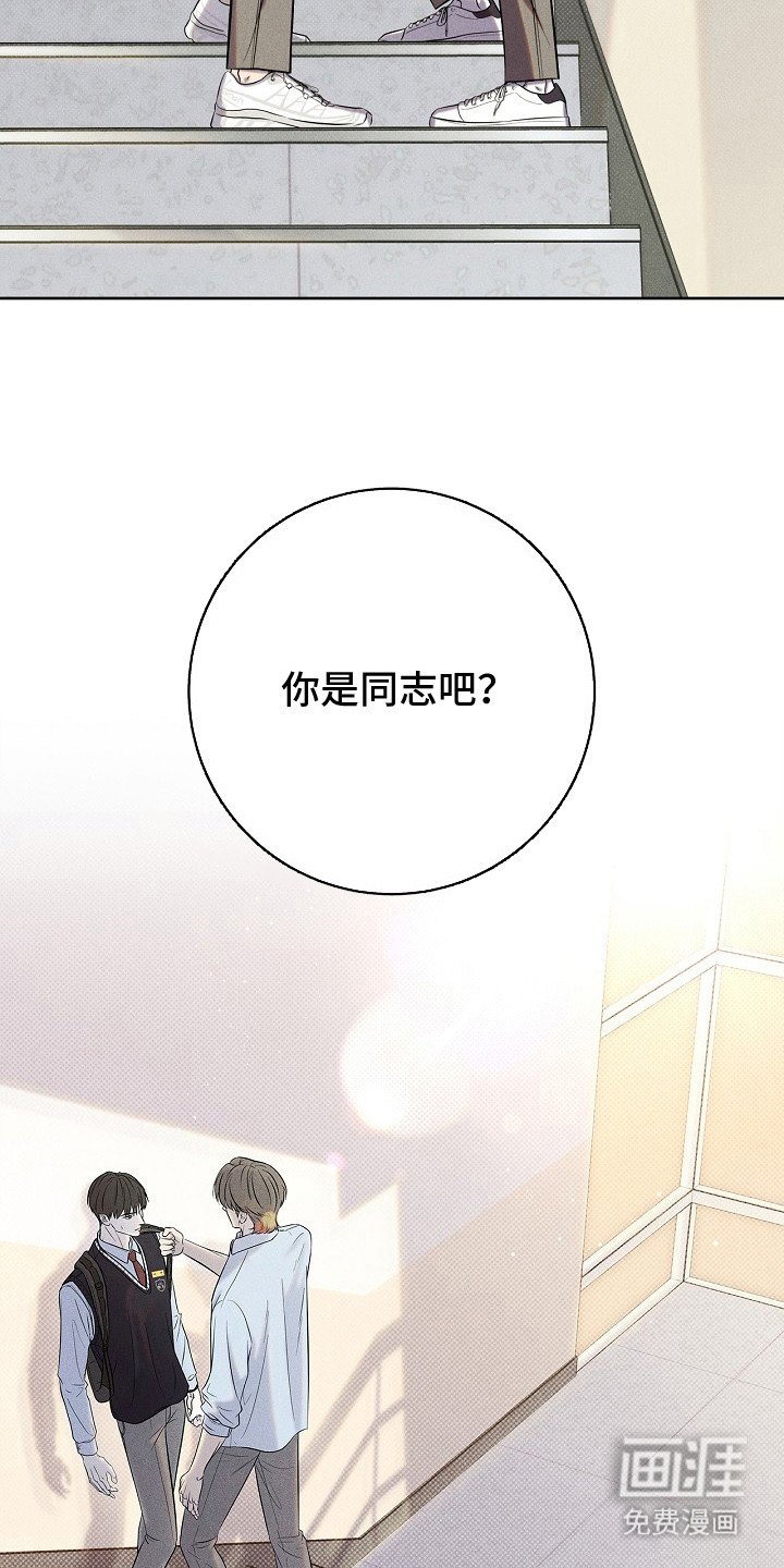 第12章：试探