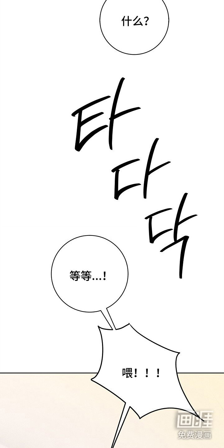 第13章：故意针对