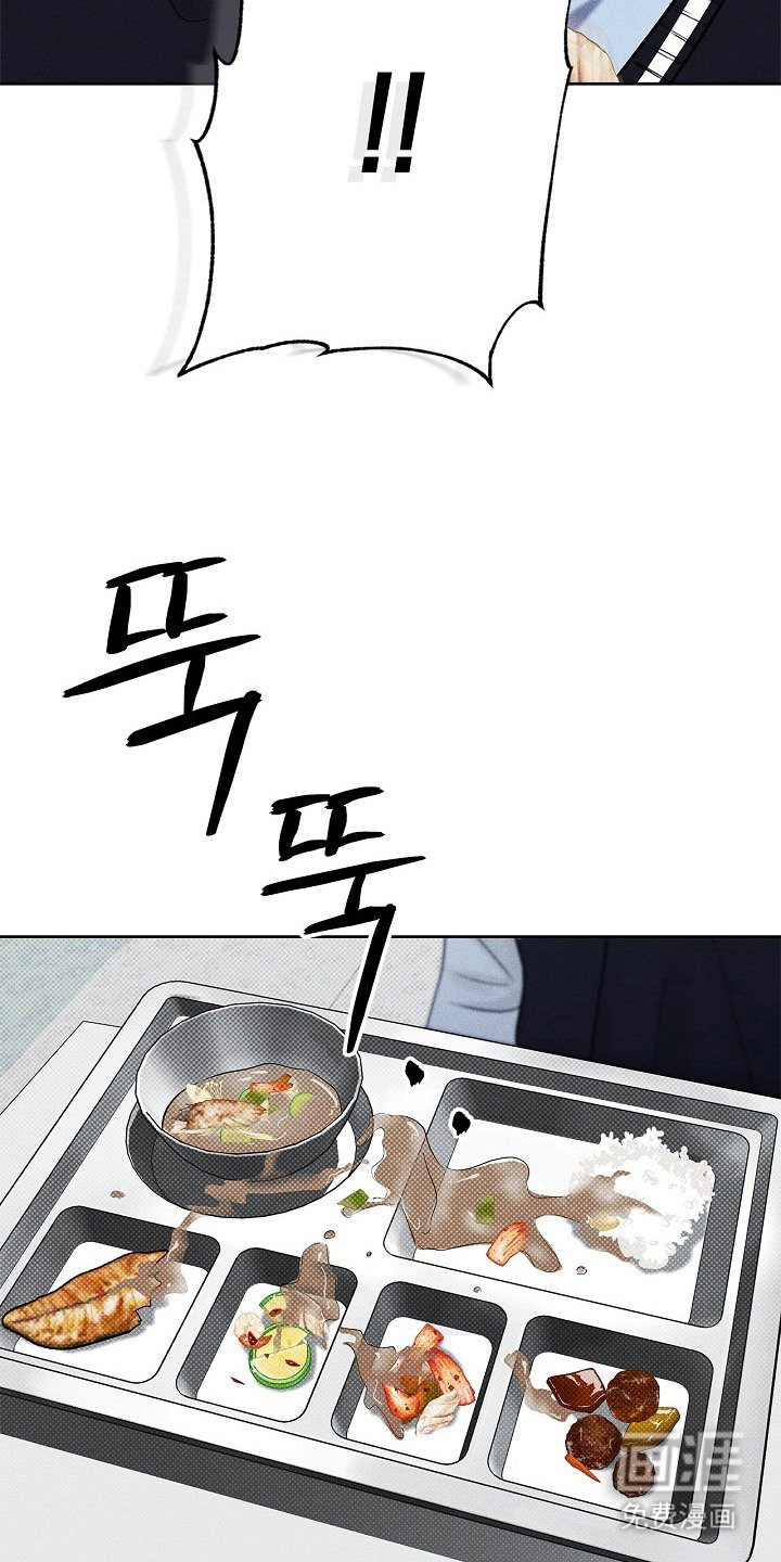 第13章：故意针对