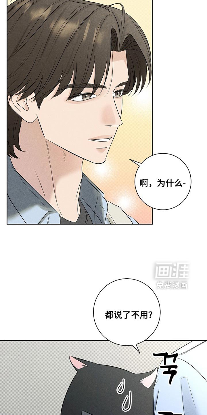 第46章：不需要