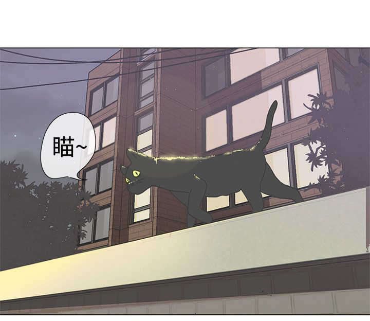 第2章：测试