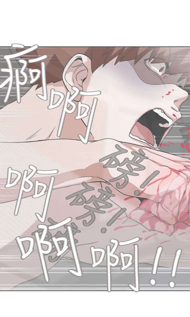 第52章：病毒升级