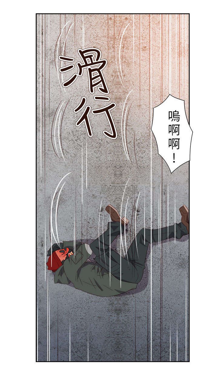 第51章：突变