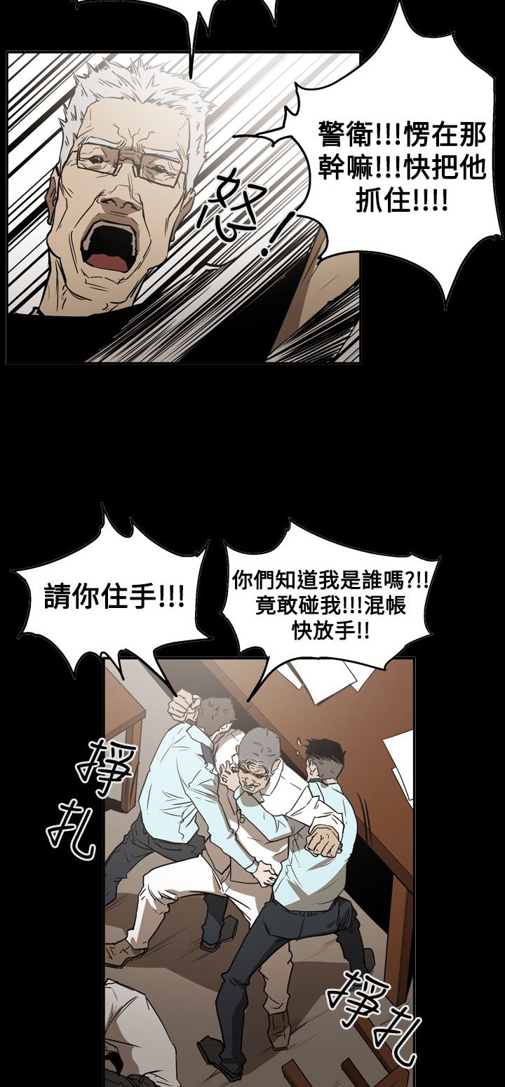 第55章：据实以报