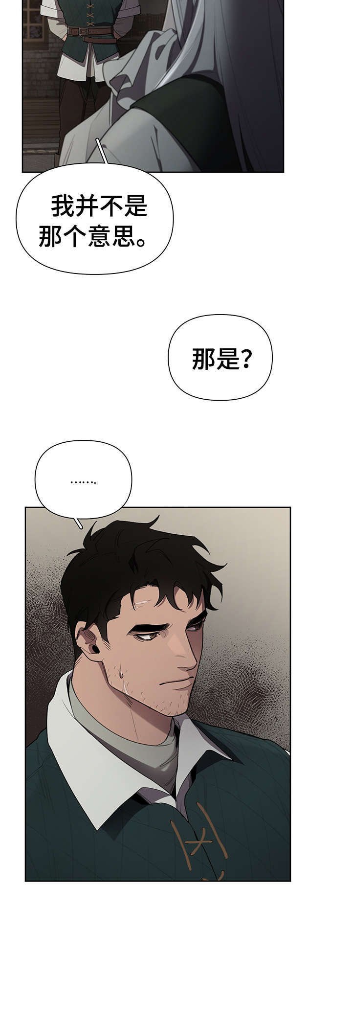 第13章：什么意思