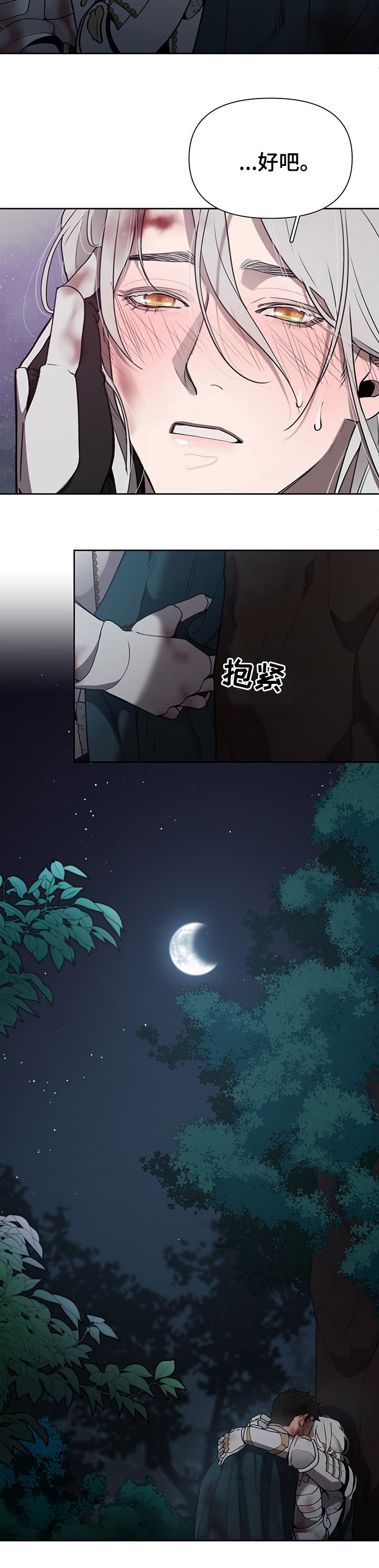 第39章：疯了