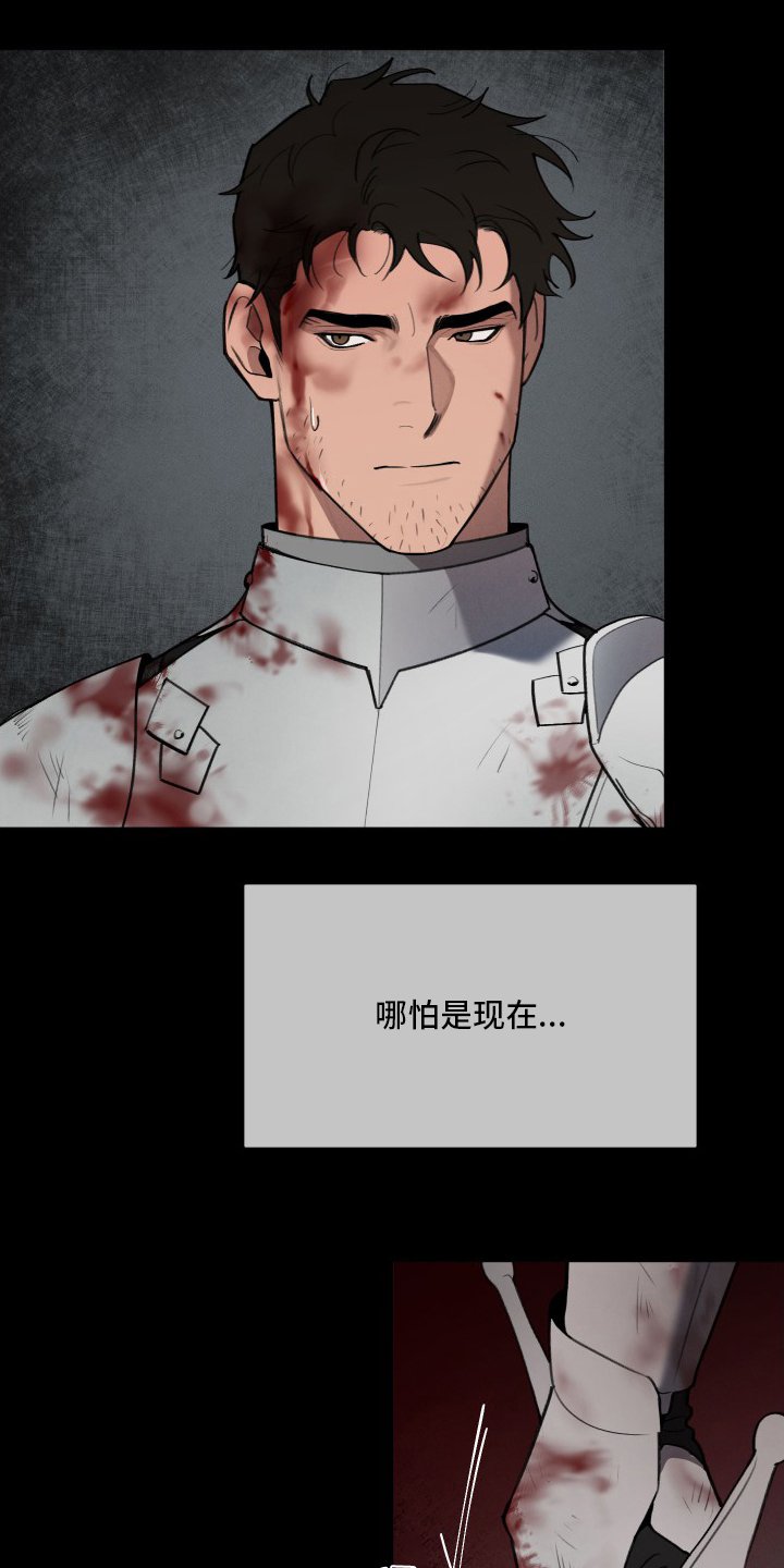 第40章：攻陷