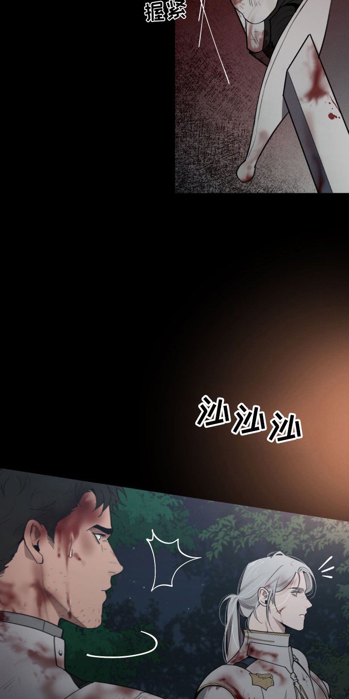 第40章：攻陷