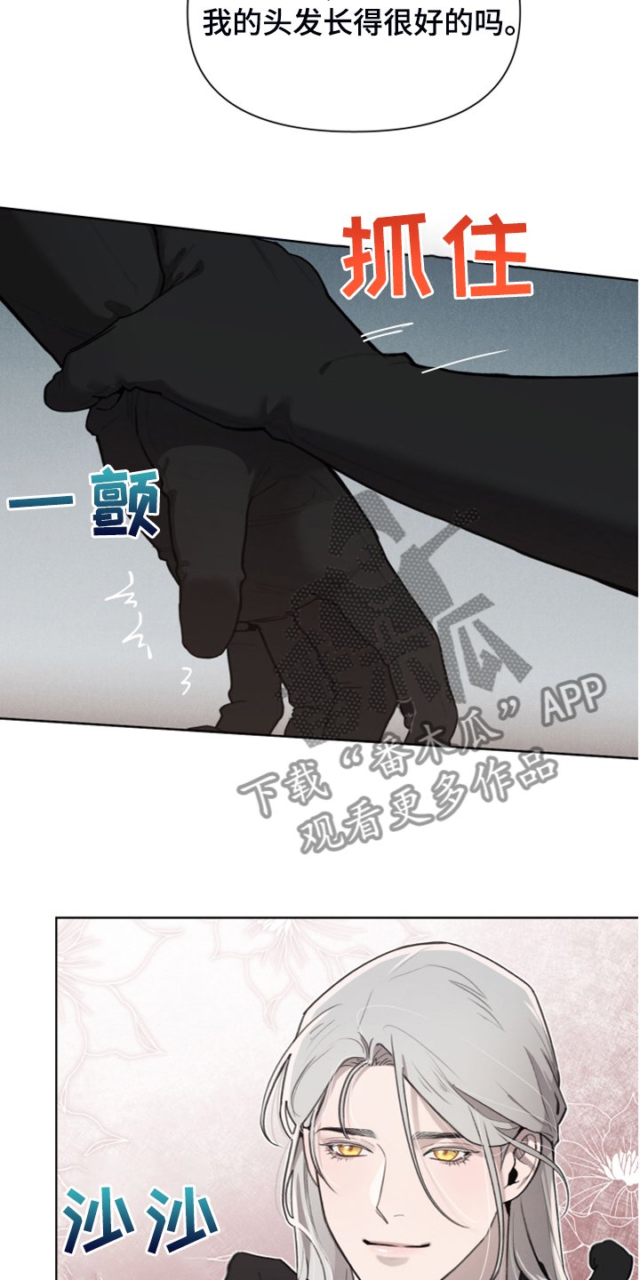 第46章：理解了