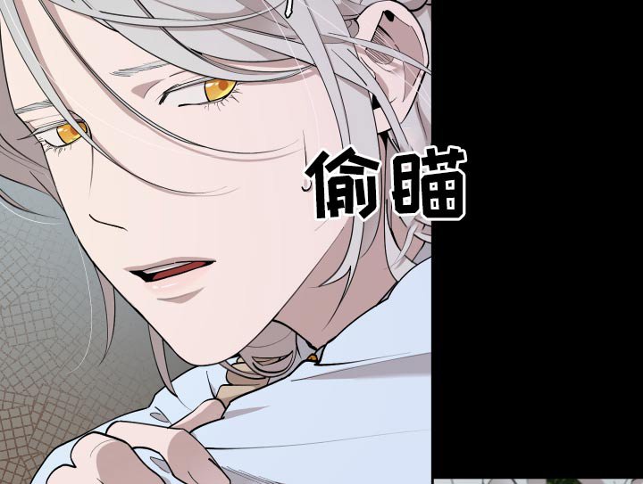 第60章：【番外】要不要杀
