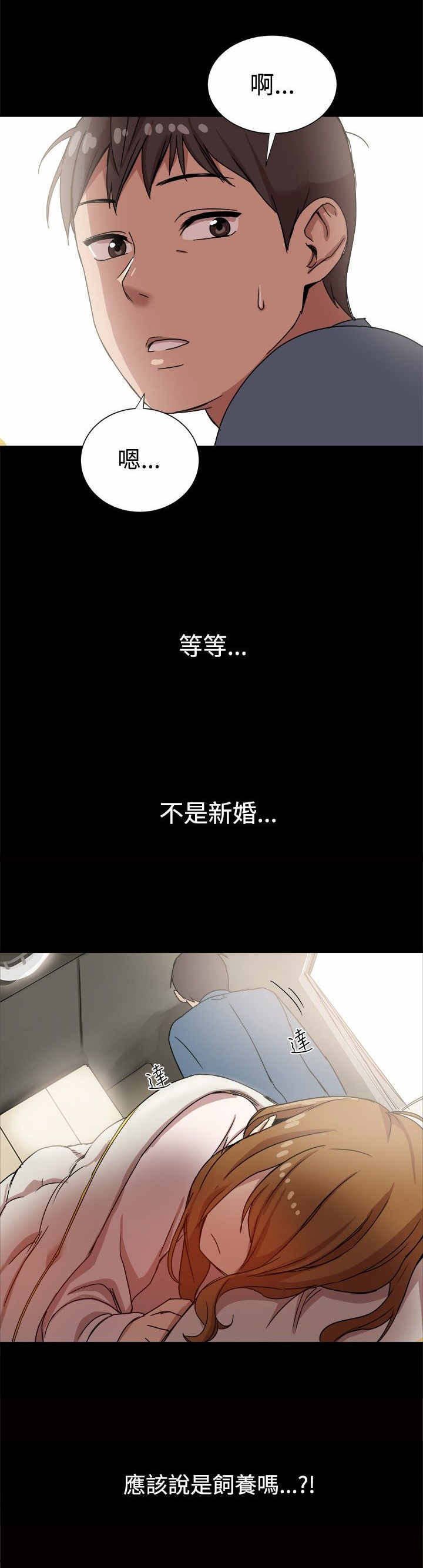 第13章：饲养的爱情